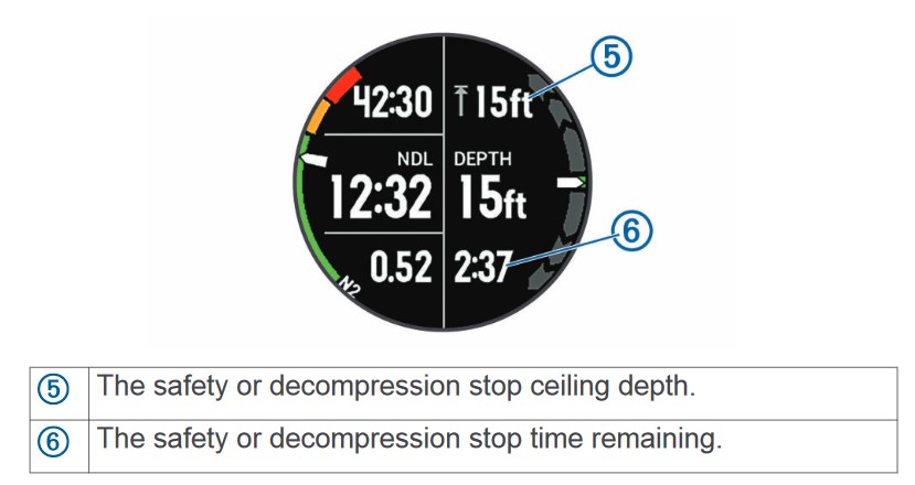 Review - Garmin Descent Dive Computer, DIVEIndia