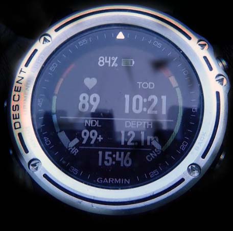 Garmin descent best sale mk1 review