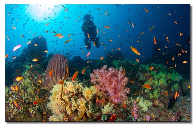 What does scuba diving feel like?