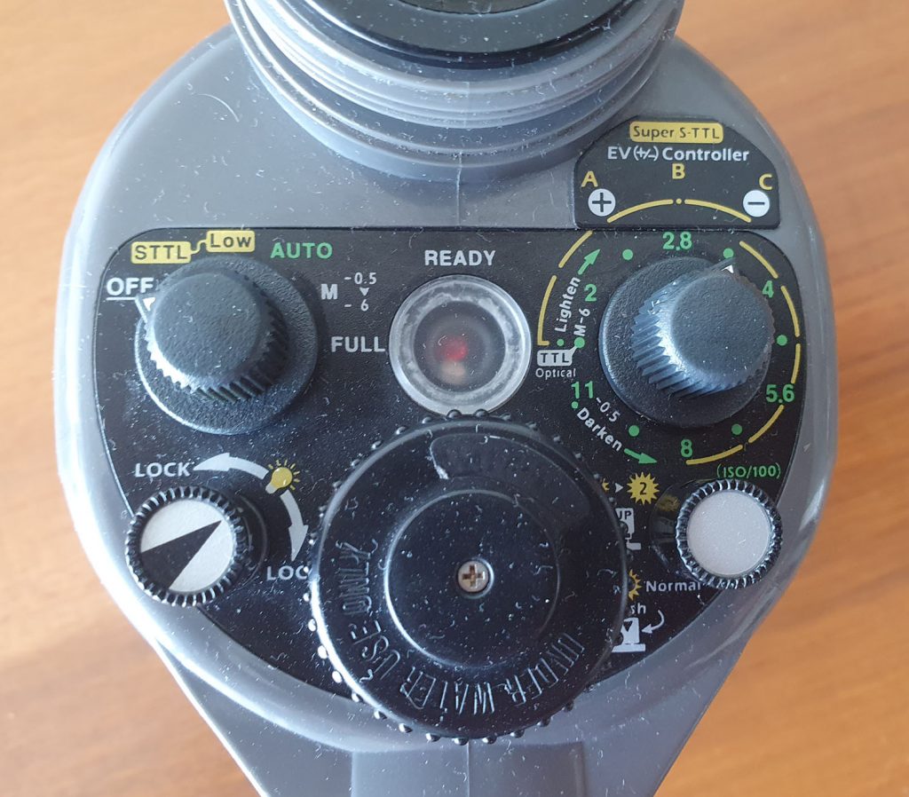 Underwater Photography Guide For Beginners | 6 Tips to Go Pro in 2020